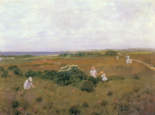 William Merritt Chase - Seaside Flowers-1897 Poster Canvas Movie Film Print A0 A