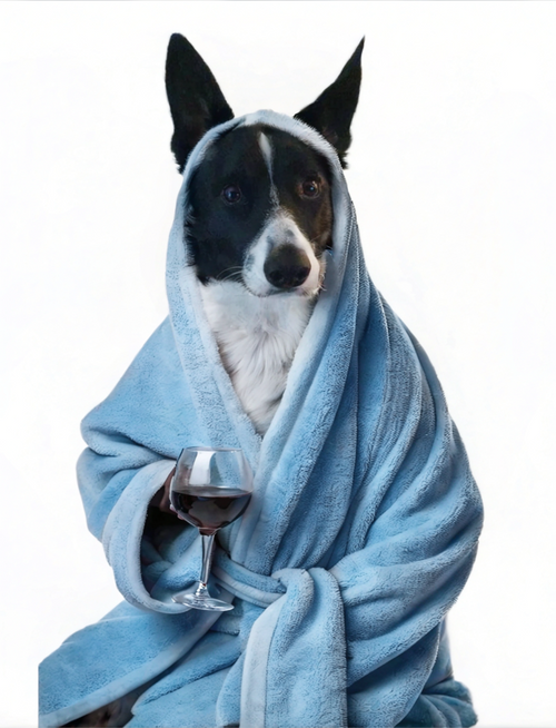 Teddy Dog in Bath Robe portrait Adorable Blue Gown Art Print Dog Decor Nursery P