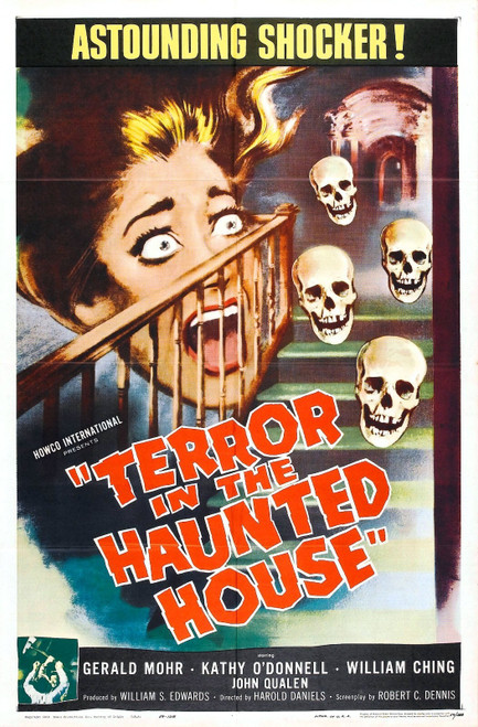 Terror In Haunted House 01 Poster Canvas Movie Film Print A0 A1 A2 A3 A4 A5 A6 A