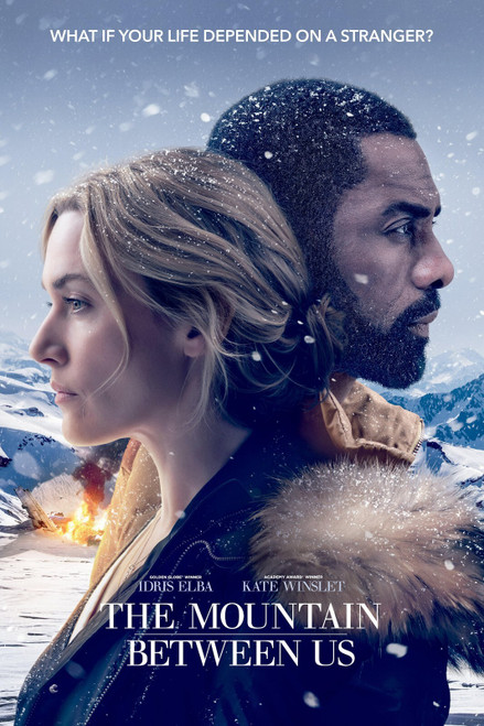 The Mountain Between Us 1 Poster Canvas Movie Film Print A0 A1 A2 A3 A4 A5 A6 A