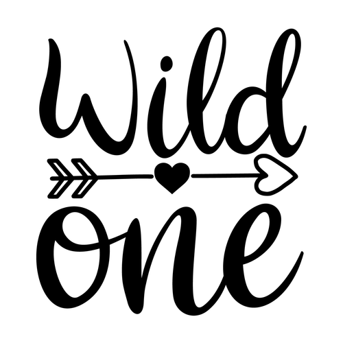 Wild one-01 Poster Canvas Movie Film Print A0 A1 A2 A3 A4 A5 A6 Art Wall Decorat