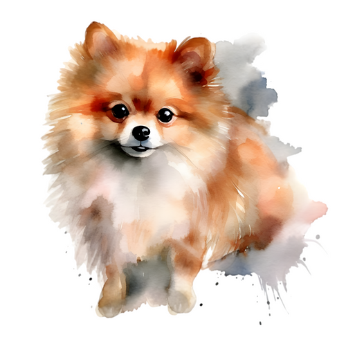 Pomeranian (5) Poster Canvas Movie Film Print A0 A1 A2 A3 A4 A5 A6 Art Wall Deco