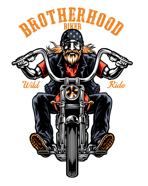 wild ride Poster Canvas Movie Film Print A0 A1 A2 A3 A4 A5 A6 Art Wall Decoratio