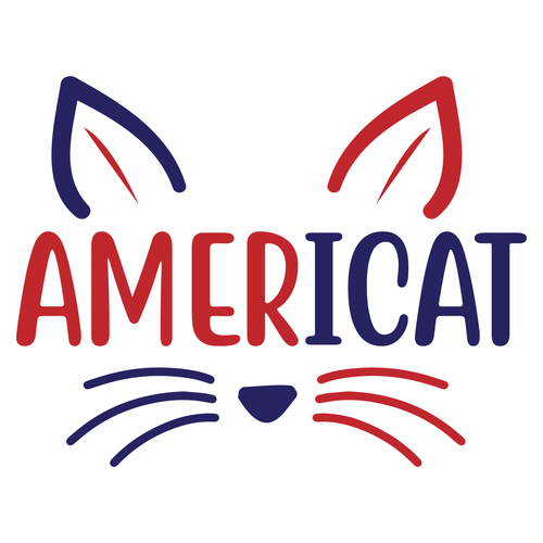 americat-01 Poster Canvas Movie Film Print A0 A1 A2 A3 A4 A5 A6 Art Wall Decorat