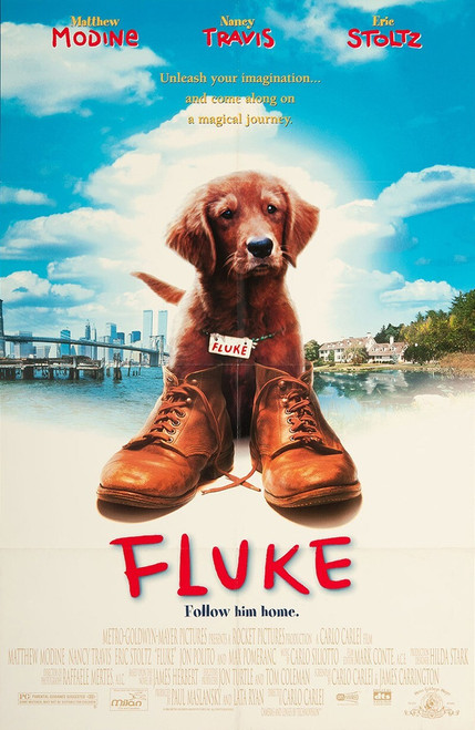 Fluke (1995)_2 Movie Film Poster Canvas iconic design