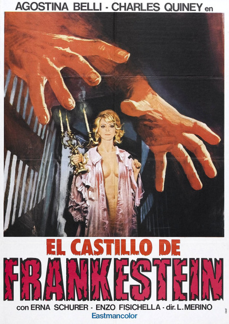 Scream Of Demon Lover 01 Poster Canvas Movie Film Print A0 A1 A2 A3 A4 A5 A6 Art