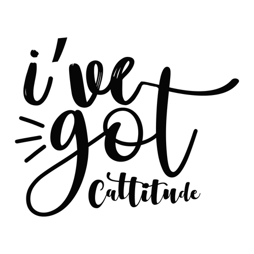 i ve got cattitude-01 Poster Canvas Movie Film Print A0 A1 A2 A3 A4 A5 A6 Art Wa