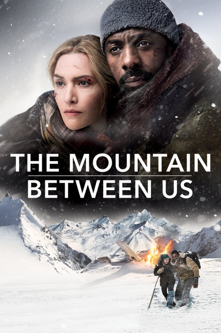 The Mountain Between Us 2 Poster Canvas Movie Film Print A0 A1 A2 A3 A4 A5 A6 A