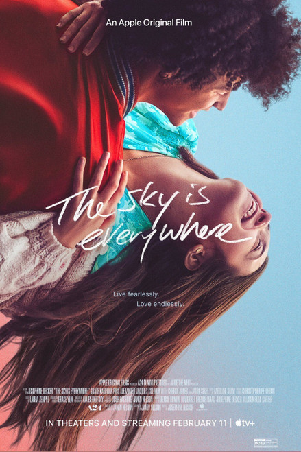 The Sky Is Everywhere Poster Canvas Movie Film Print A0 A1 A2 A3 A4 A5 A6 Art Wa