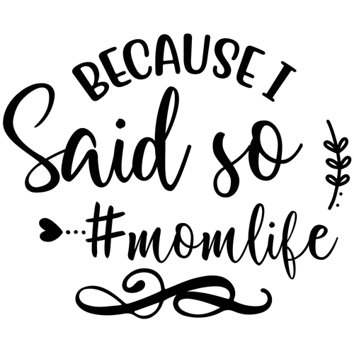 Because I Said so #momlife-01 Poster Canvas Movie Film Print A0 A1 A2 A3 A4 A5 A