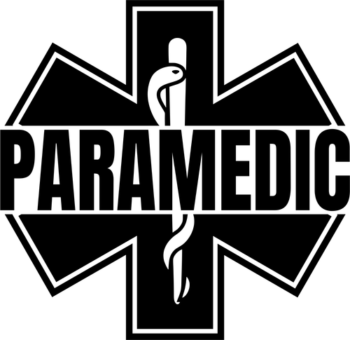 Paramedic split (2) Poster Canvas Movie Film Print A0 A1 A2 A3 A4 A5 A6 Art Wall