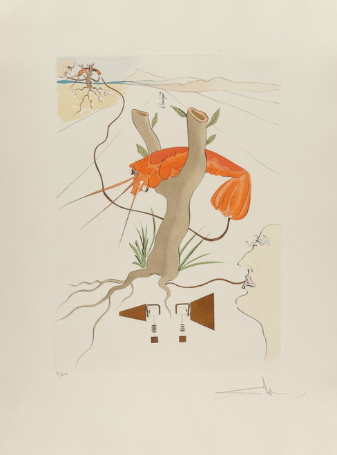 Salvador Dalí Homage à Leonardo da Vinci 1975 Picture 11 Poster Canvas Movie Fil