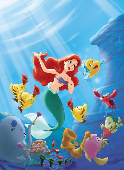 The Little Mermaid 11 Poster Canvas Movie Film Print A0 A1 A2 A3 A4 A5 A6 Art Wa