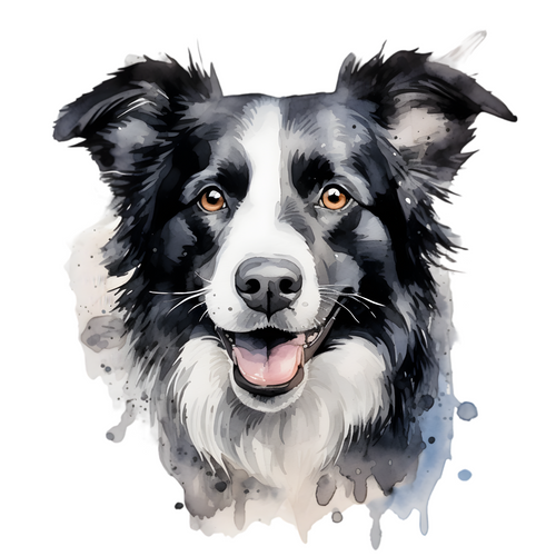 Border Collie (2) Poster Canvas Movie Film Print A0 A1 A2 A3 A4 A5 A6 Art Wall D