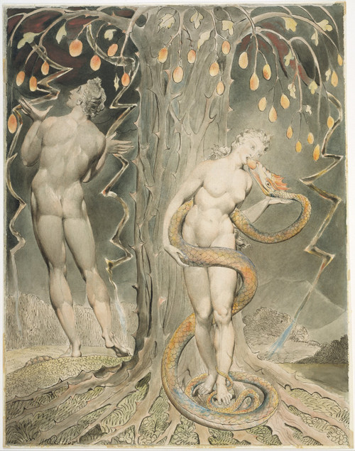William Blake - The Temptation and Fall of Eve Poster Canvas Movie Film Print A0