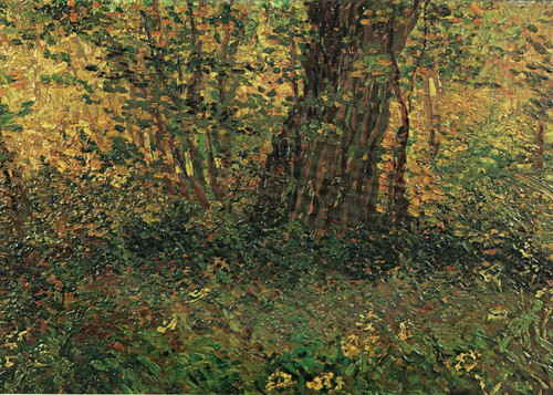 Vincent Van Gogh - Undergrowth 1887 Poster Canvas Movie Film Print A0 A1 A2 A3 A