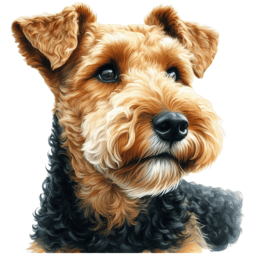 246 Welsh Terrier Poster Canvas Movie Film Print A0 A1 A2 A3 A4 A5 A6 Art Wall D