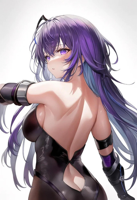 Raiden Anime E Girl (4) Poster Canvas Movie Film Print A0 A1 A2 A3 A4 A5 A6 Art
