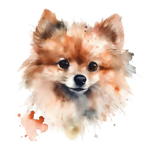 Pomeranian (9) Poster Canvas Movie Film Print A0 A1 A2 A3 A4 A5 A6 Art Wall Deco