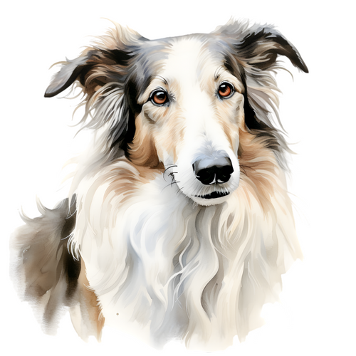 Borzoi (4) Poster Canvas Movie Film Print A0 A1 A2 A3 A4 A5 A6 Art Wall Decorati