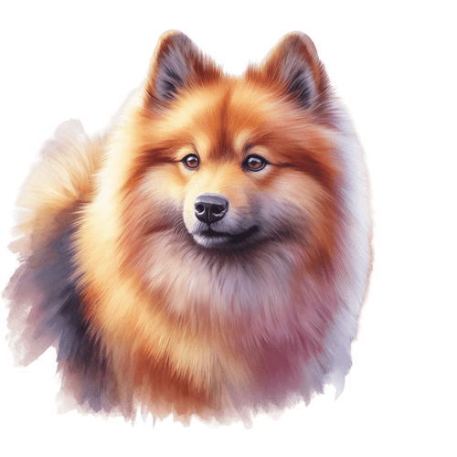 219 Finnish Spitz Poster Canvas Movie Film Print A0 A1 A2 A3 A4 A5 A6 Art Wall D