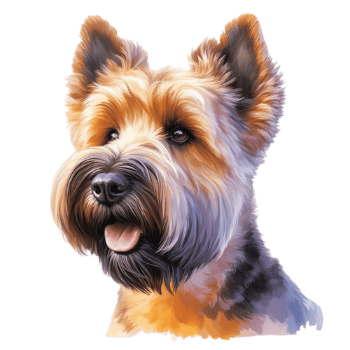 253 Glen of Imaal Terrier Poster Canvas Movie Film Print A0 A1 A2 A3 A4 A5 A6 Ar