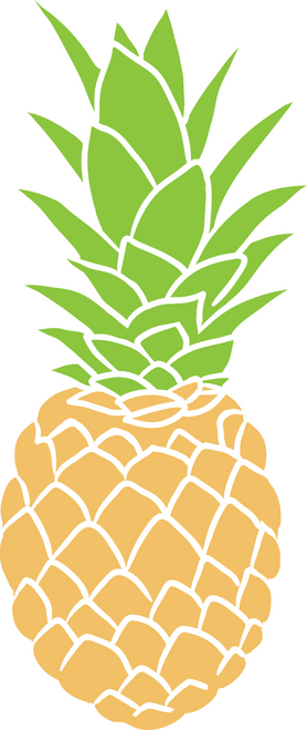 Pineapple (3) Poster Canvas Movie Film Print A0 A1 A2 A3 A4 A5 A6 Art Wall Decor