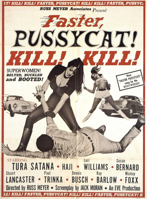 Faster, Pussycat! Kill! Kill! (1965)_0 Movie Film Poster Canvas iconic design