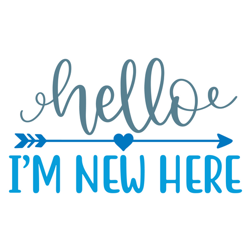 hello i_m new here-01 Poster Canvas Movie Film Print A0 A1 A2 A3 A4 A5 A6 Art Wa