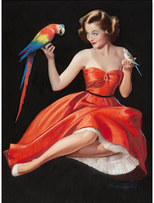 PinUp Girl - BRADSHAW CRANDELL Fine Feather Poster Canvas Movie Film Print A0 A
