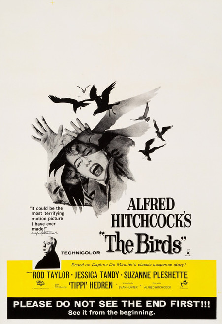 THE BIRDS (1963) 2 Poster Canvas Movie Film Print A0 A1 A2 A3 A4 A5 A6 Art Wall