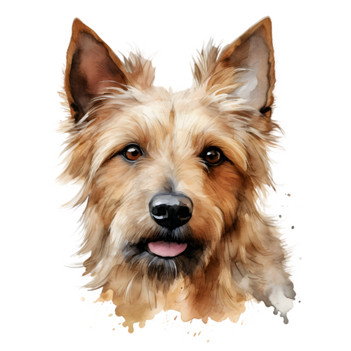 Australian Terrier (1) Poster Canvas Movie Film Print A0 A1 A2 A3 A4 A5 A6 Art W