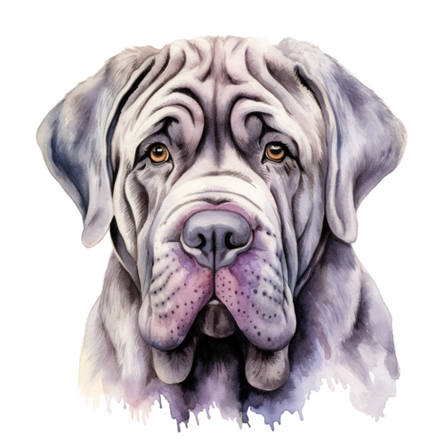 Neapolitan Mastiff (4) Poster Canvas Movie Film Print A0 A1 A2 A3 A4 A5 A6 Art W