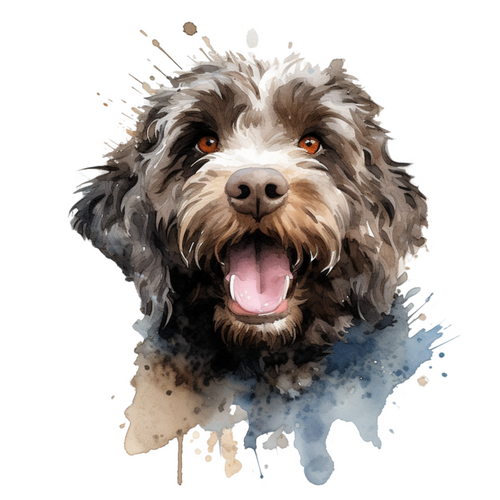 Spanish Water Dog (2) Poster Canvas Movie Film Print A0 A1 A2 A3 A4 A5 A6 Art Wa