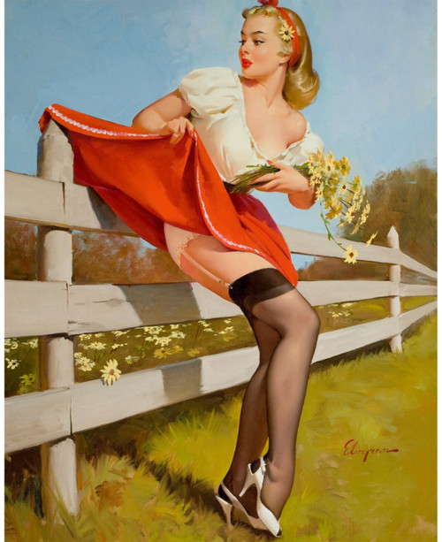 Pinup Girl - On the Fence 1959 Poster Canvas Picture Art Movie Car Game Film
