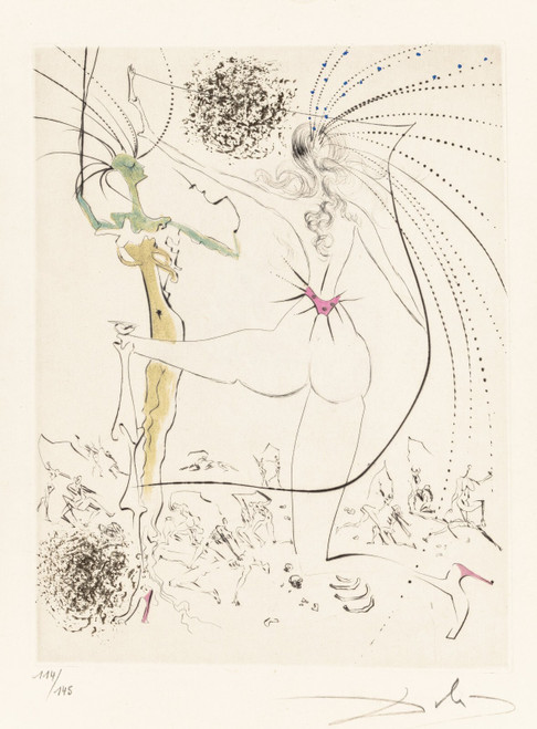 Salvador Dalí (Spanish, 1904-1989). Venus aux fourrures, 1969 Picture 13 Poster