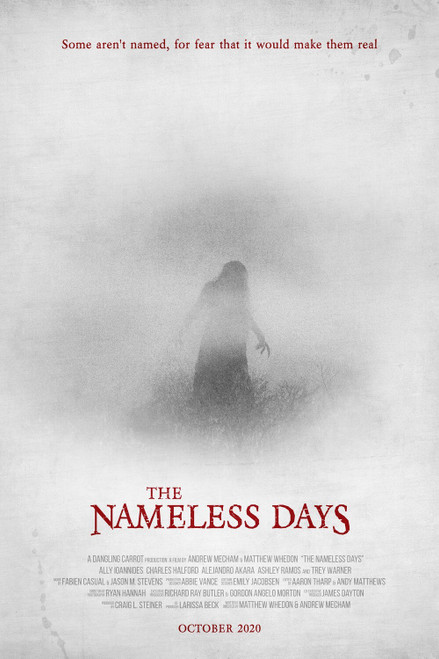 The Nameless Days Poster Canvas Movie Film Print A0 A1 A2 A3 A4 A5 A6 Art Wall D