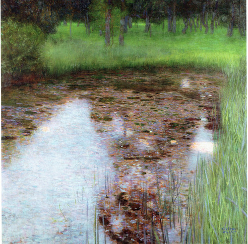 The Marshy Pond- Klimt 1900 Poster Canvas Movie Film Print A0 A1 A2 A3 A4 A5 A6