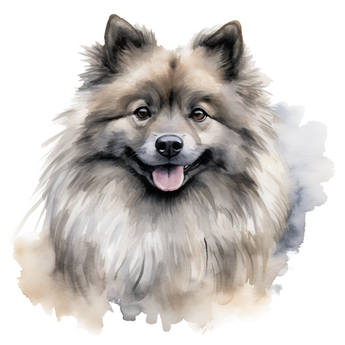 Keeshond (1) Poster Canvas Print Art Painting Decor Reprint wall A0 A1 A2 A3 A4