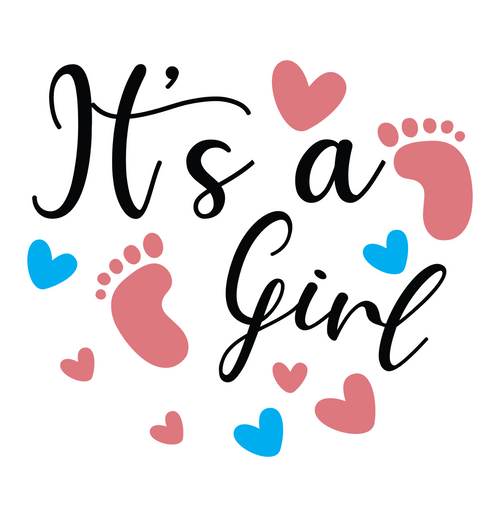 It s A Girl-01 Poster Canvas Movie Film Print A0 A1 A2 A3 A4 A5 A6 Art Wall Deco