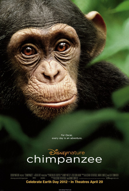Chimpanzee (2012)_0 Movie Film Poster Canvas iconic design
