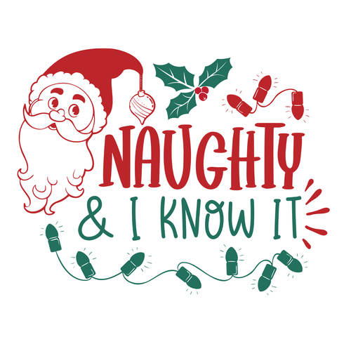 Naughty and I know it Poster Canvas Movie Film Print A0 A1 A2 A3 A4 A5 A6 Art Wa