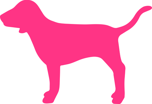 PINK-vs2 Poster Canvas Movie Film Print A0 A1 A2 A3 A4 A5 A6 Art Wall Decoration