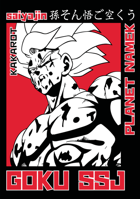 ANIME V5_WWW.PIXELPRINTART.COM-22 Poster Canvas Movie Film Print A0 A1 A2 A3 A4