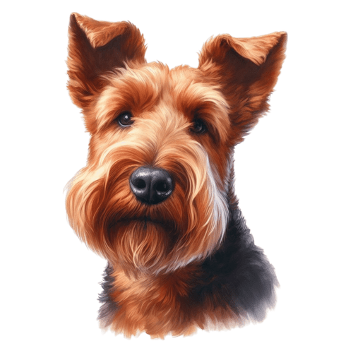 252 Irish Terrier Poster Canvas Movie Film Print A0 A1 A2 A3 A4 A5 A6 Art Wall D