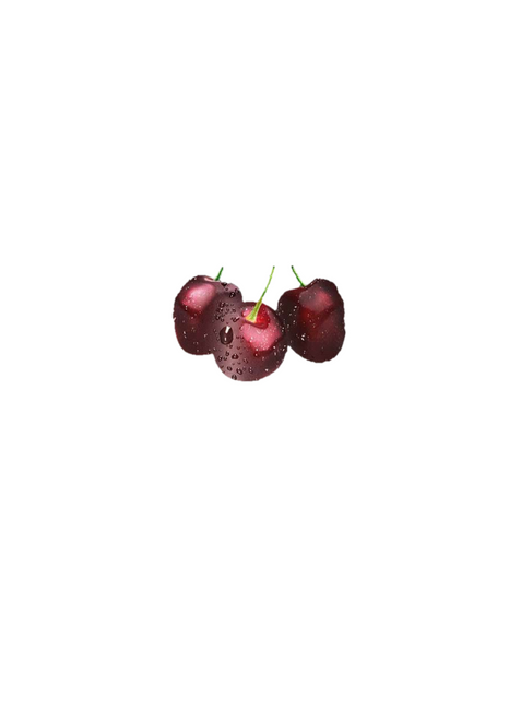 Black Cherry Fruit Poster Canvas Movie Film Print A0 A1 A2 A3 A4 A5 A6 Art Wall