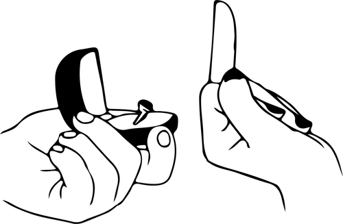 ring and middle finger (2) Poster Canvas Movie Film Print A0 A1 A2 A3 A4 A5 A6 A
