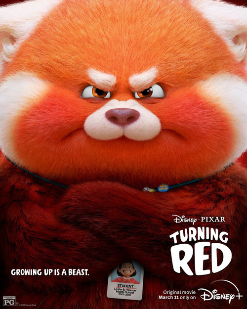 Turning Red (2022)_9 Poster Canvas Movie Film Print A0 A1 A2 A3 A4 A5 A6 Art Wal