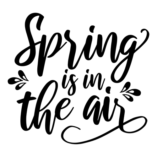 Spring is in the Air-01 (3) Poster Personalized Canvas Movie Film Print A0 A1 A2