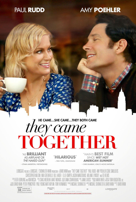 They Came Together (2014)_1 Poster Canvas Movie Film Print A0 A1 A2 A3 A4 A5 A6